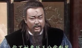 晋剧真假包公讲的什么故事 真假包青天